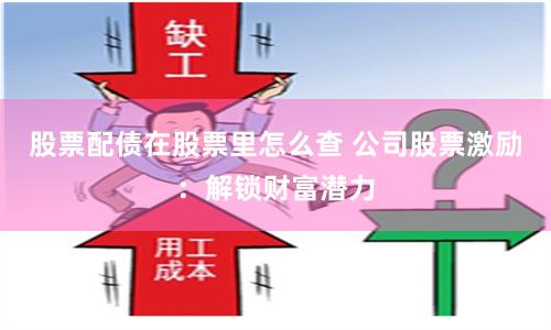 股票配债在股票里怎么查 公司股票激励:解锁财富潜力