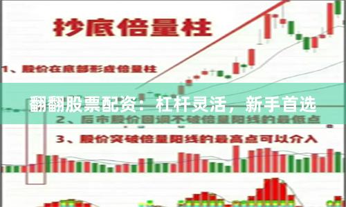 翻翻股票配资：杠杆灵活，新手首选